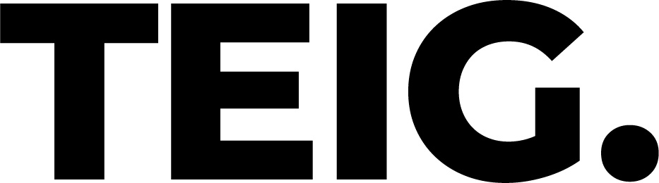 Teig Logo